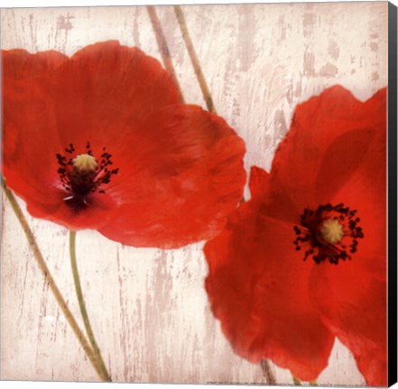 Framed Red III - mini Print