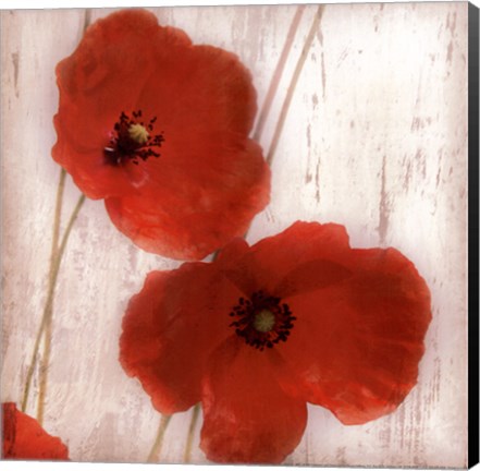 Framed Red IV - mini Print