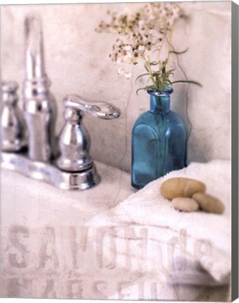 Framed Bath II Print