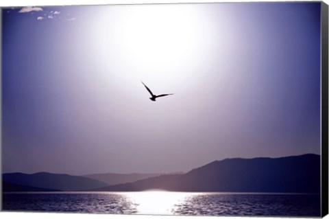 Framed Take Flight Print