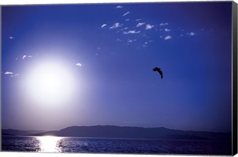 Framed Flathead Lake Print