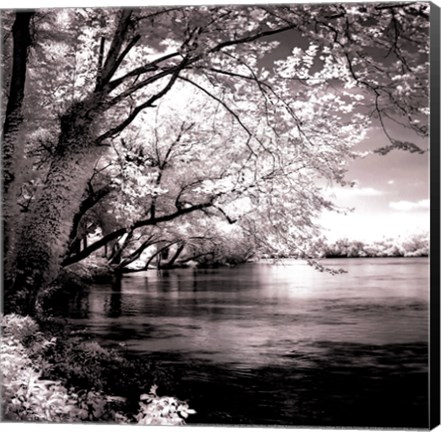 Framed Spring On The River Square I - mini Print