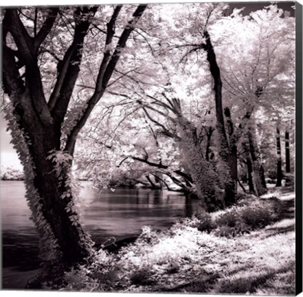 Framed Spring On The River Square II - mini Print