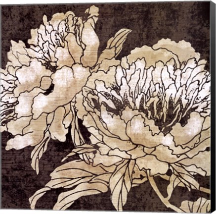 Framed Bella Nova I Print