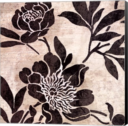 Framed Bella Nova II Print