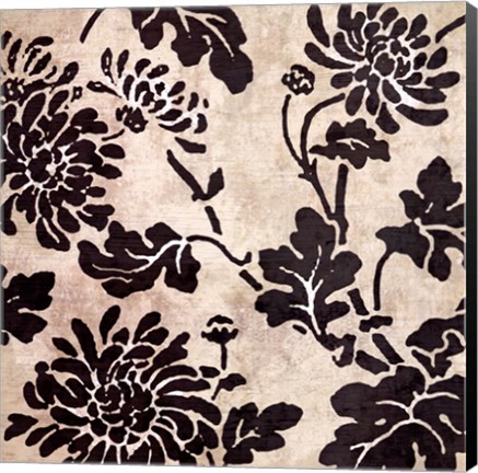 Framed Bella Nova III Print