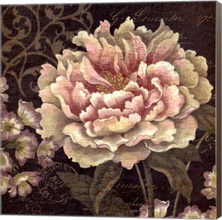 Framed Maribel I Print