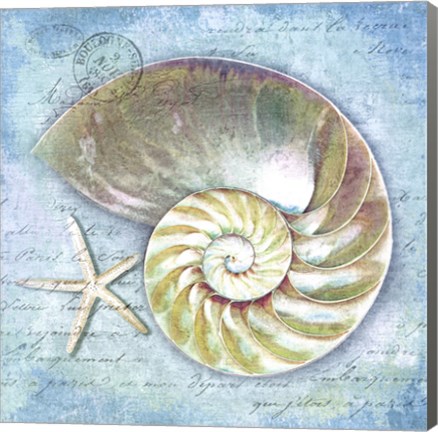 Framed Into The Sea I Print