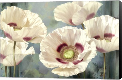 Framed Tasmanian Poppies I Print