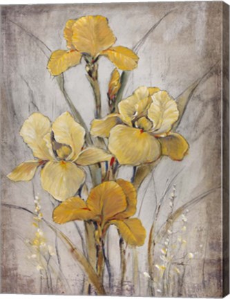 Framed Golden Irises I Print