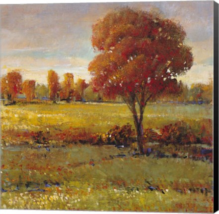 Framed Field in Fall Print