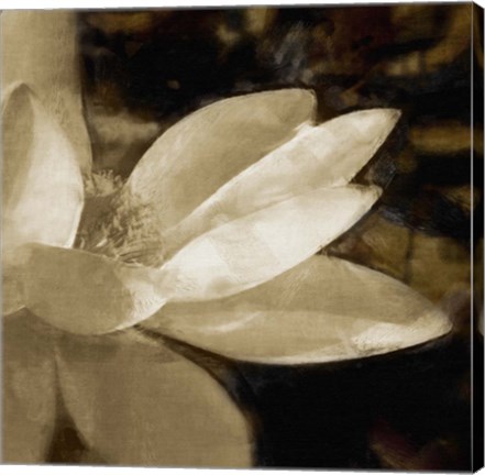 Framed Bronze Lily IV Print