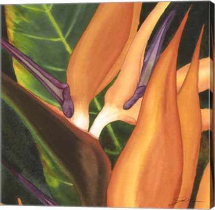 Framed Bird Of Paradise Tile I Print