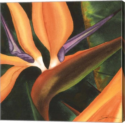 Framed Bird Of Paradise Tile IV Print