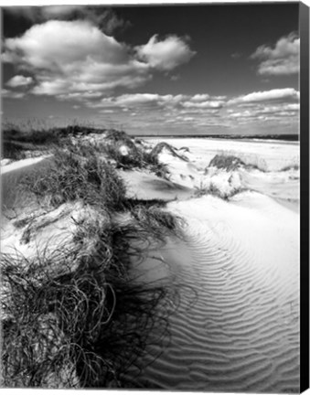 Framed Dune Swale Print