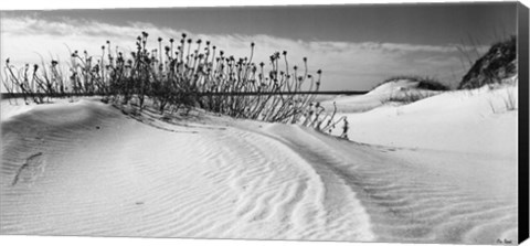 Framed Serebe Shorline Print