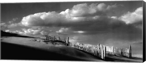 Framed Sand Fences Print