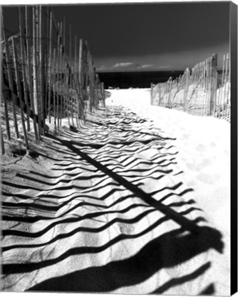 Framed Shadowed Pathway Print