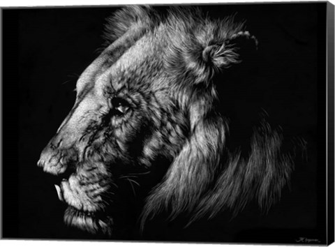 Framed Wildlife Scratchboards I Print