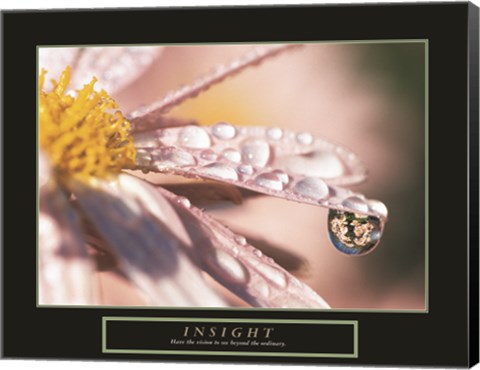 Framed Insight - Dewdrop Print