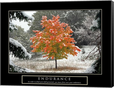 Framed Endurance - Fall Tree Print