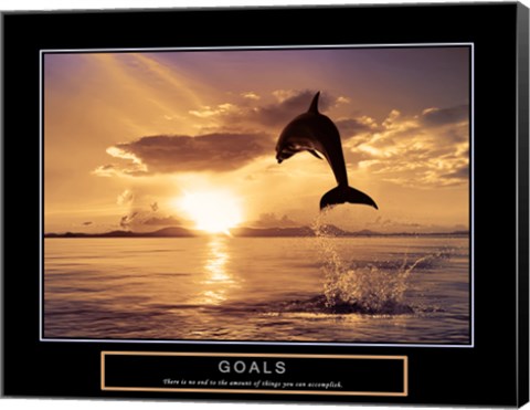 Framed Goals - Dolphins Print