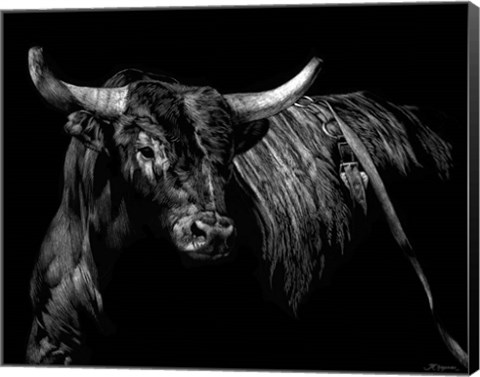 Framed Brindle Rodeo Bull Print