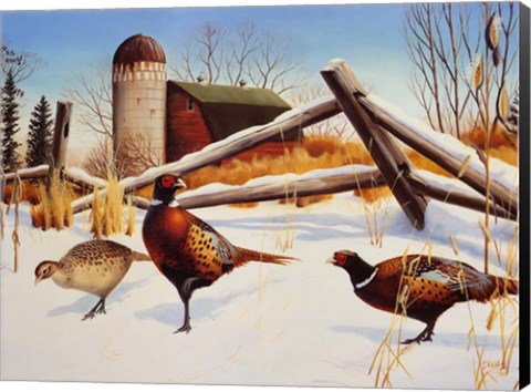 Framed Pheasants II Print