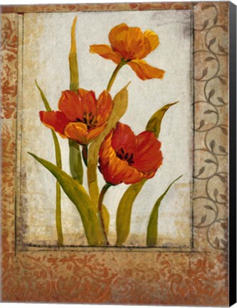 Framed Tulip Inset II Print