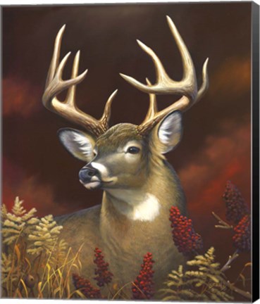 Framed Deer Portrait Print