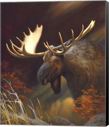 Framed Moose Portrait Print