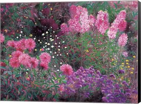 Framed Dahlia &amp; Balsamine Print