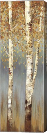 Framed Butterscotch Birch Trees II Print