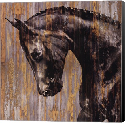Framed Horse I Print