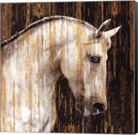 Framed Horse II Print