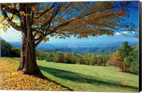 Framed Blue Ridge Beauty Print