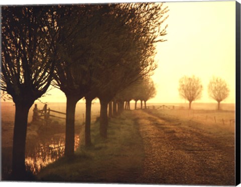 Framed Misty Morning Print