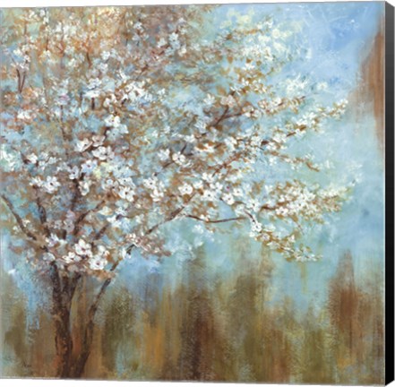 Framed Cherry Blossoms Print