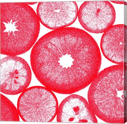 Framed Red Lemon Slices Print