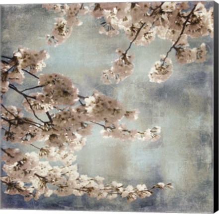 Framed Aqua Blossoms II Print
