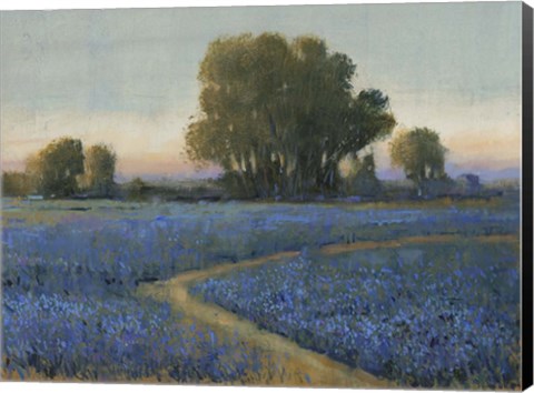 Framed Blue Bonnet Field I Print