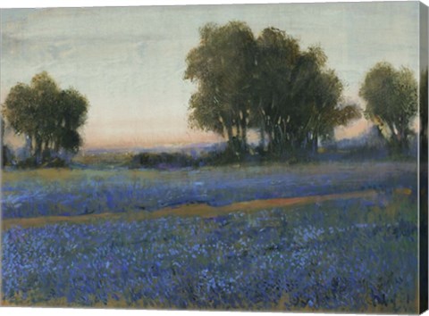 Framed Blue Bonnet Field II Print