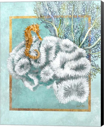 Framed Coral and Seahorse Print