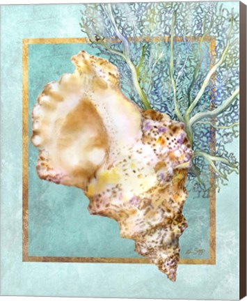 Framed Conch Shell and Coral Print