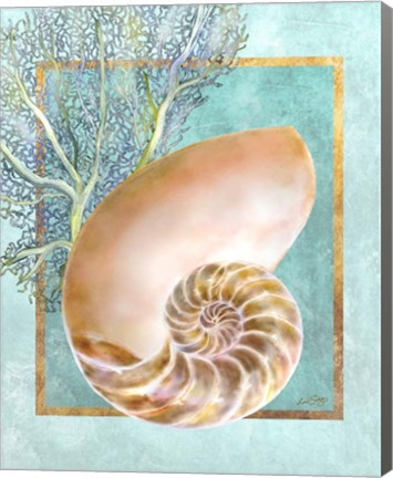 Framed Nautilus Shell and Coral Print