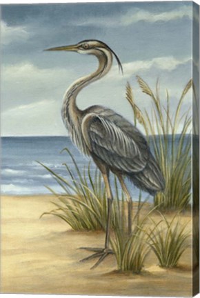 Framed Shore Bird II Print