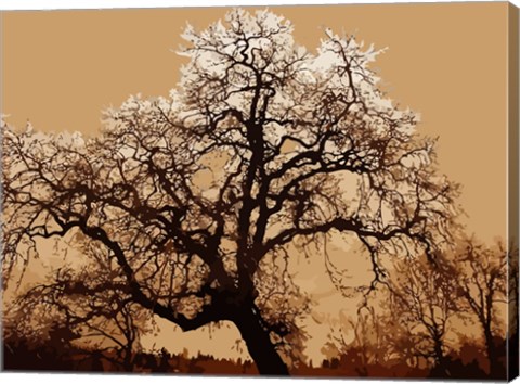 Framed Oak Tree on Tope Print