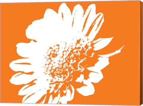 Framed Orange Mum Print