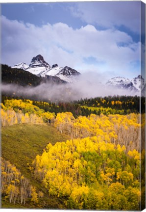 Framed Ridgway Colors Print