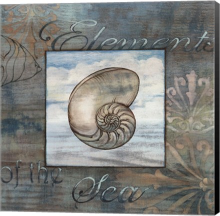 Framed Elements of the Sea IV Print